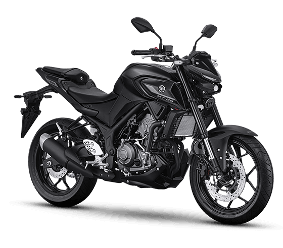 Yamaha MT-25 in Matte Black, MT-25