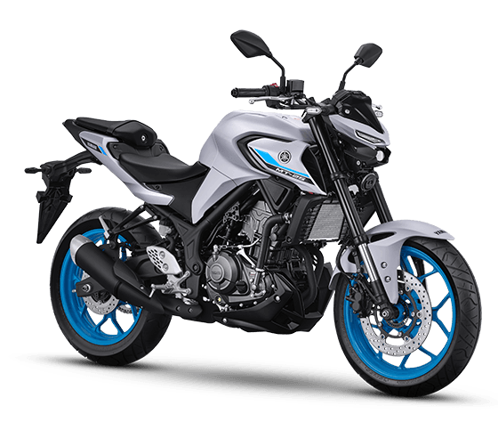 Yamaha MT-25 in Metallic Light Grey, MT-25